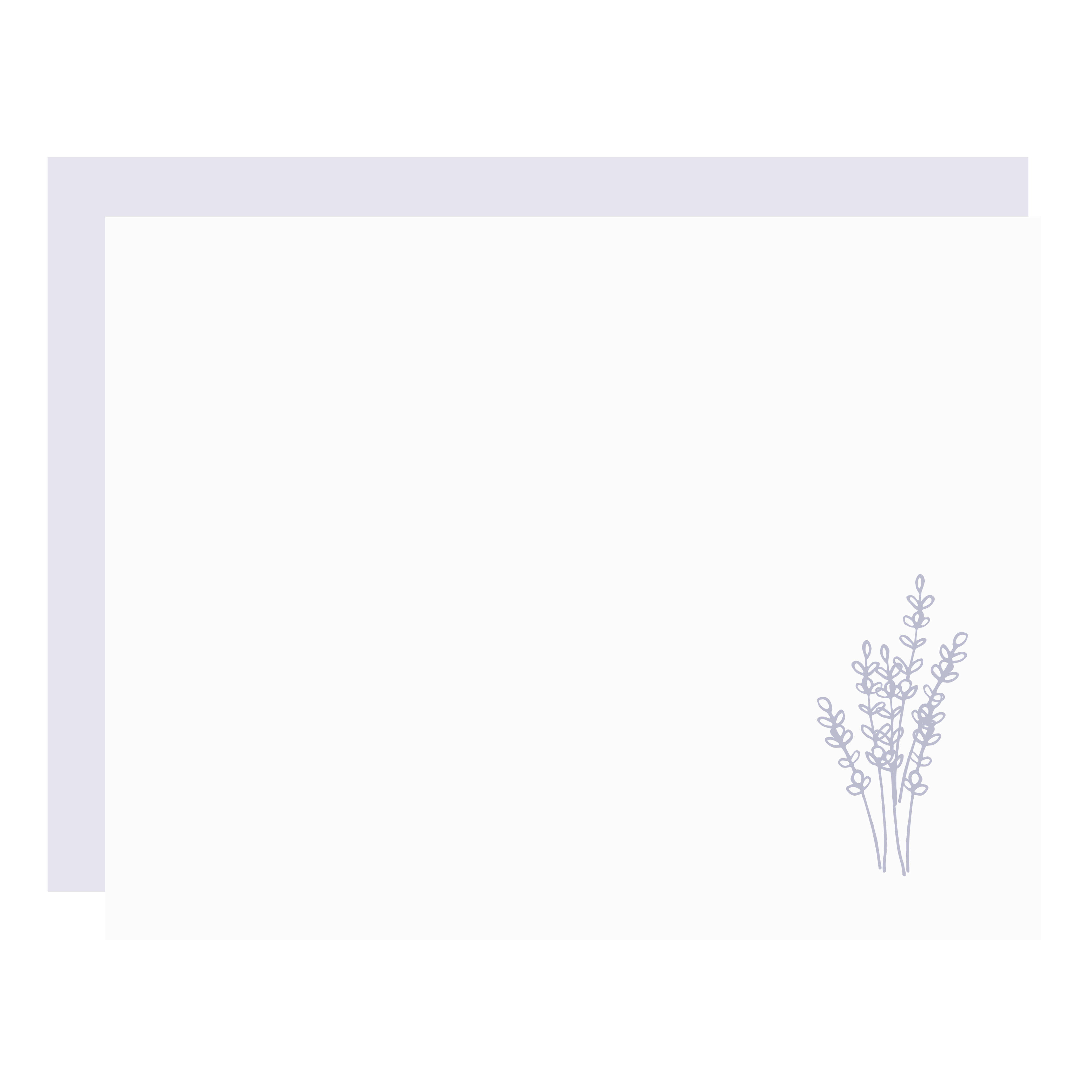 Crown Mill Color Vellum Small Flat Note Cards Boxed Lavender – GREER Chicago